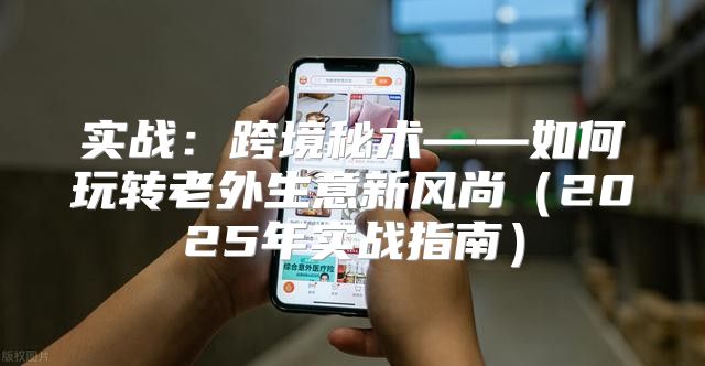 实战：跨境秘术——如何玩转老外生意新风尚2025年实战指南