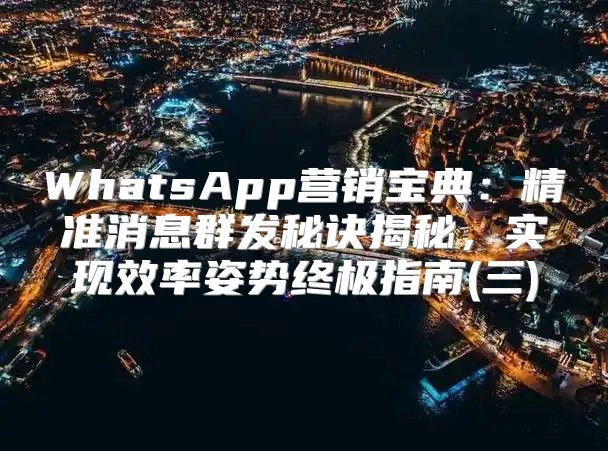 WhatsApp营销宝典：精准消息群发秘诀揭秘，实现效率姿势终极指南(三)
