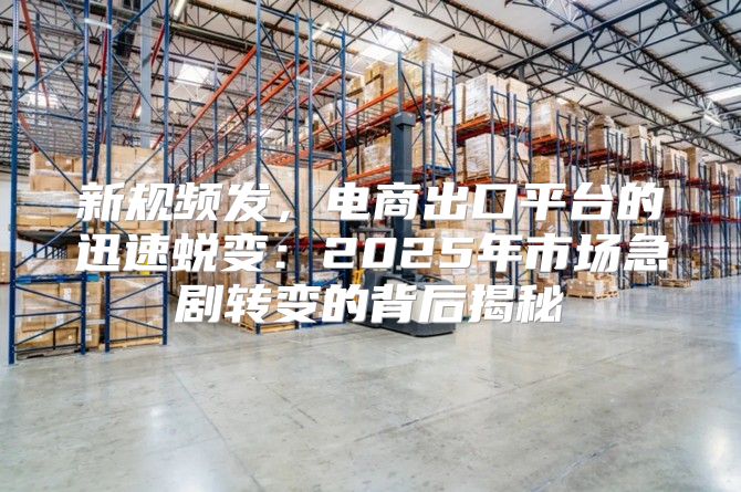 新规频发，电商出口平台的迅速蜕变：2025年市场急剧转变的背后揭秘