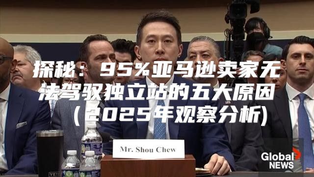 探秘：95%亚马逊卖家无法驾驭独立站的五大原因2025年观察分析)