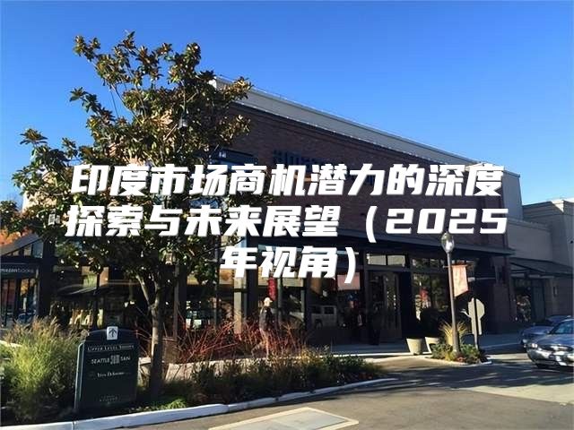 印度市场商机潜力的深度探索与未来展望2025年视角