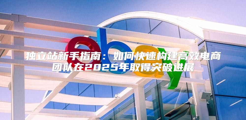 独立站新手指南：如何快速构建高效电商团队在2025年取得突破进展