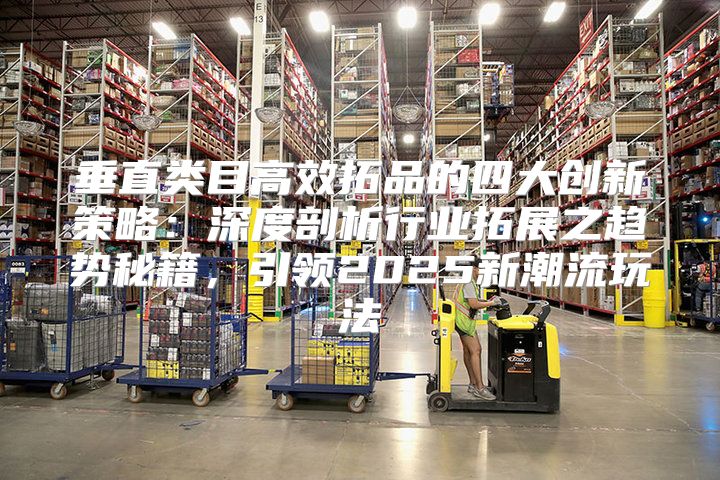 垂直类目高效拓品的四大创新策略：深度剖析行业拓展之趋势秘籍，引领2025新潮流玩法