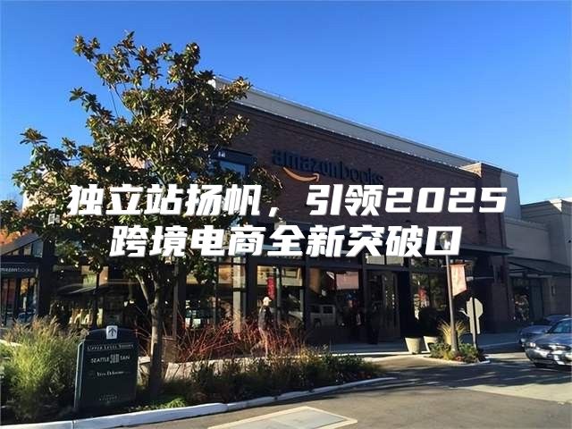 独立站扬帆，引领2025跨境电商全新突破口