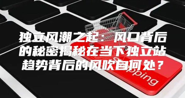 独立风潮之起：风口背后的秘密揭秘在当下独立站趋势背后的风吹自何处？