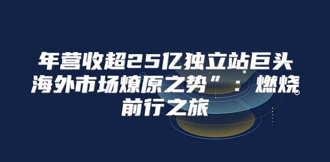 年营收超25亿独立站巨头海外市场燎原之势”：燃烧前行之旅