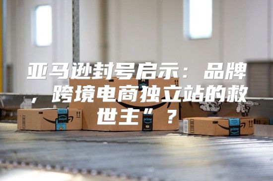 亚马逊封号启示：品牌，跨境电商独立站的救世主”？