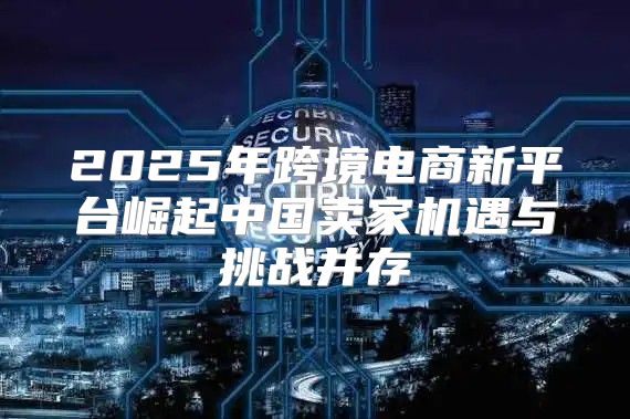 2025年跨境电商新平台崛起中国卖家机遇与挑战并存