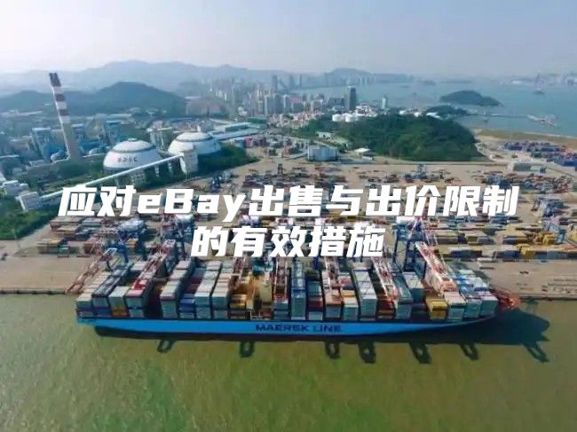 应对eBay出售与出价限制的有效措施