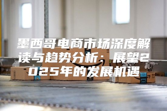 墨西哥电商市场深度解读与趋势分析：展望2025年的发展机遇
