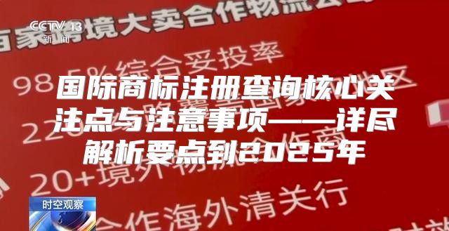 国际商标注册查询核心关注点与注意事项——详尽解析要点到2025年
