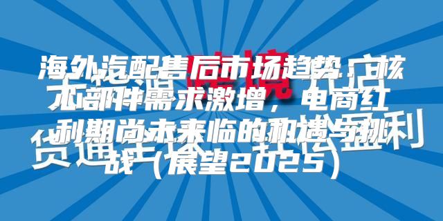 海外汽配售后市场趋势：核心部件需求激增，电商红利期尚未来临的机遇与挑战展望2025