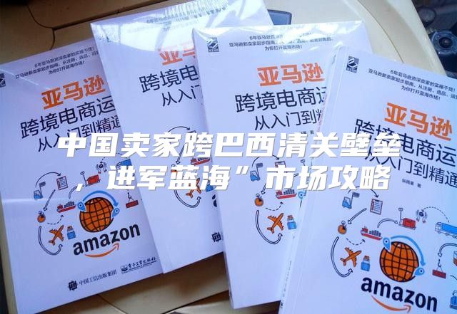 中国卖家跨巴西清关壁垒，进军蓝海”市场攻略
