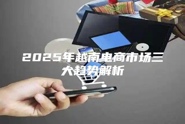 2025年越南电商市场三大趋势解析