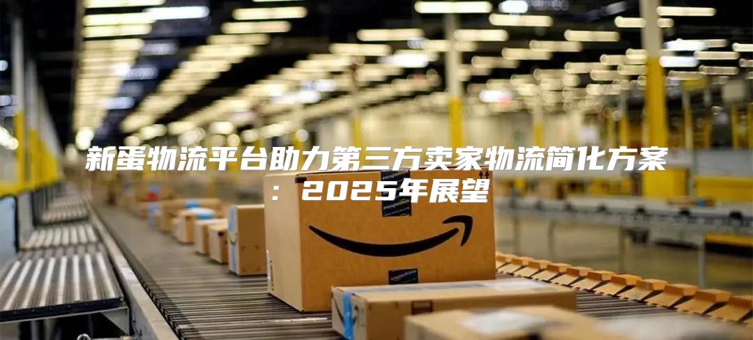 新蛋物流平台助力第三方卖家物流简化方案：2025年展望
