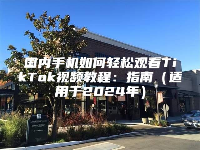 国内手机如何轻松观看TikTok视频教程：指南适用于2025年