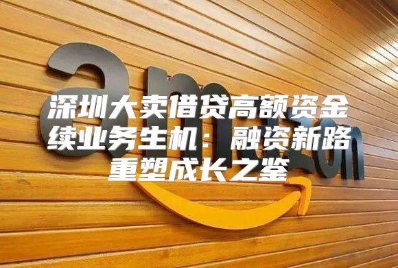 深圳大卖借贷高额资金续业务生机：融资新路重塑成长之鉴