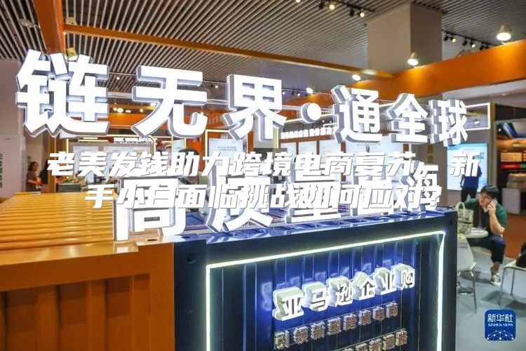 老美发钱助力跨境电商复苏，新手小白面临挑战如何应对？