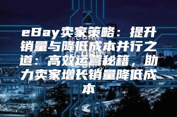eBay卖家策略：提升销量与降低成本并行之道：高效运营秘籍，助力卖家增长销量降低成本