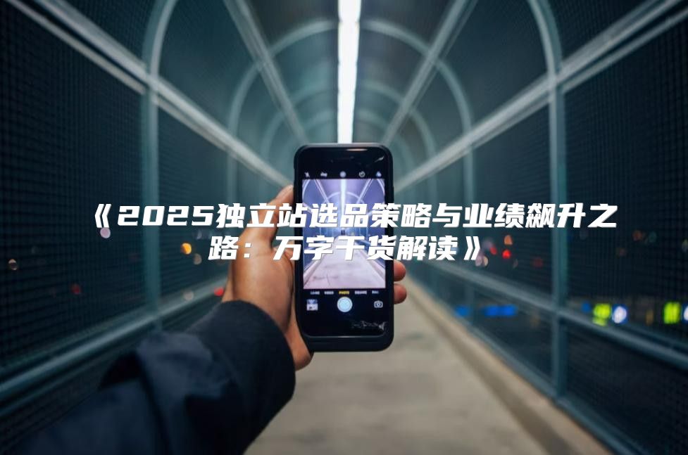 2025独立站选品策略与业绩飙升之路：万字干货解读