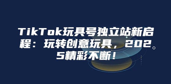 TikTok玩具号独立站新启程：玩转创意玩具，2025精彩不断！
