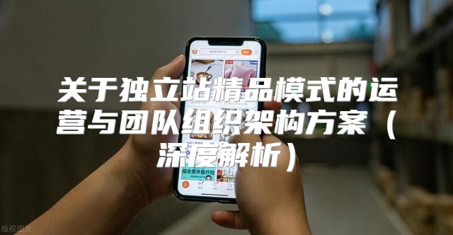 关于独立站精品模式的运营与团队组织架构方案深度解析