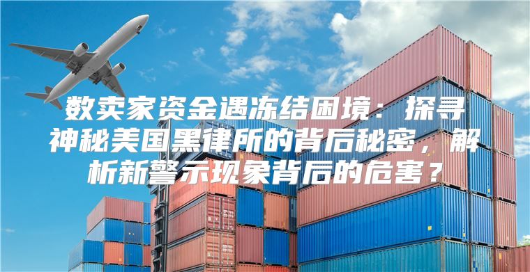 数卖家资金遇冻结困境：探寻神秘美国黑律所的背后秘密，解析新警示现象背后的危害？