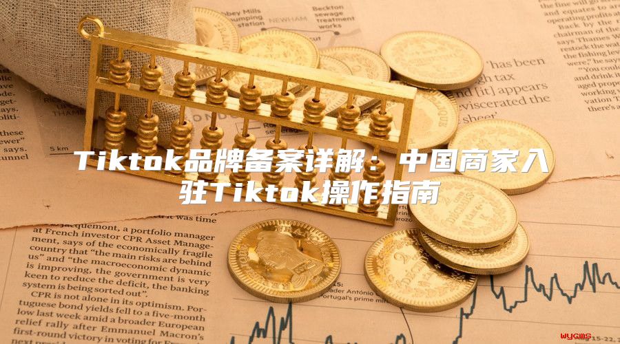 Tiktok品牌备案详解：中国商家入驻Tiktok操作指南