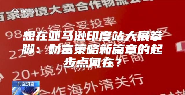 想在亚马逊印度站大展拳脚：财富策略新篇章的起步点何在？