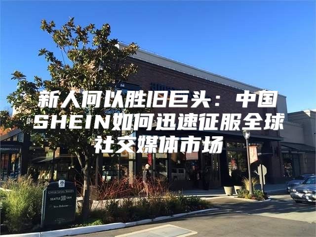 新人何以胜旧巨头：中国SHEIN如何迅速征服全球社交媒体市场