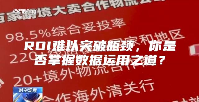 ROI难以突破瓶颈，你是否掌握数据运用之道？