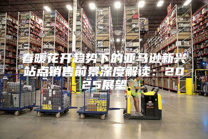春暖花开趋势下的亚马逊新兴站点销售前景深度解读：2025展望