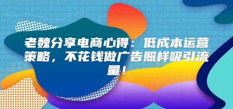 老魏分享电商心得：低成本运营策略，不花钱做广告照样吸引流量！