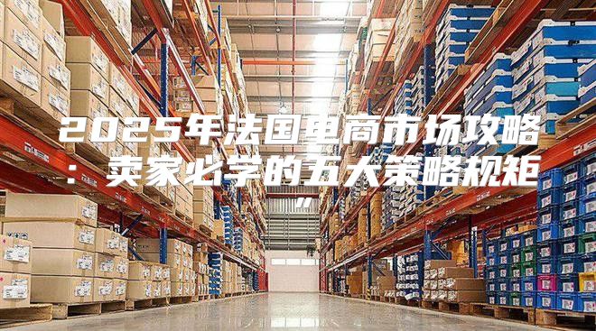 2025年法国电商市场攻略：卖家必学的五大策略规矩”