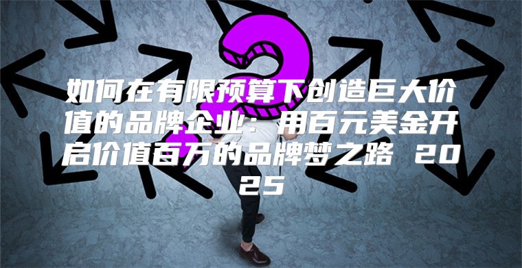 如何在有限预算下创造巨大价值的品牌企业：用百元美金开启价值百万的品牌梦之路 2025