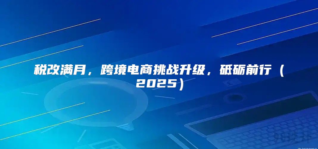 税改满月，跨境电商挑战升级，砥砺前行2025