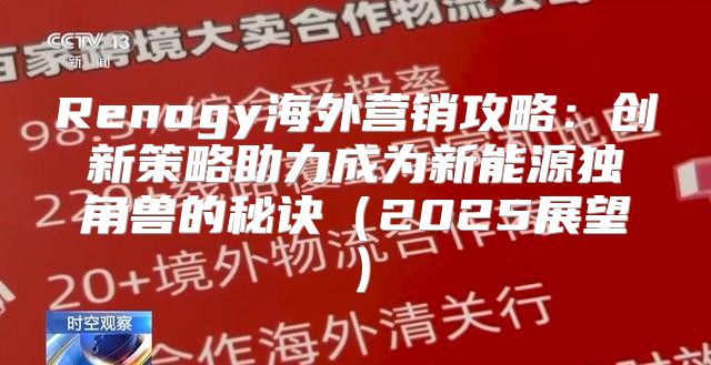 Renogy海外营销攻略：创新策略助力成为新能源独角兽的秘诀2025展望