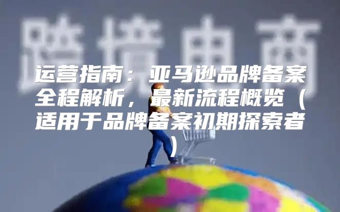 运营指南：亚马逊品牌备案全程解析，最新流程概览适用于品牌备案初期探索者
