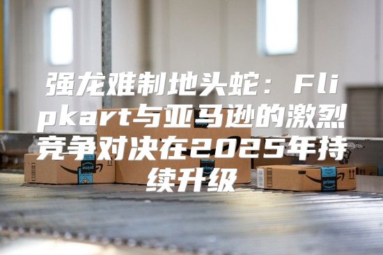 强龙难制地头蛇：Flipkart与亚马逊的激烈竞争对决在2025年持续升级