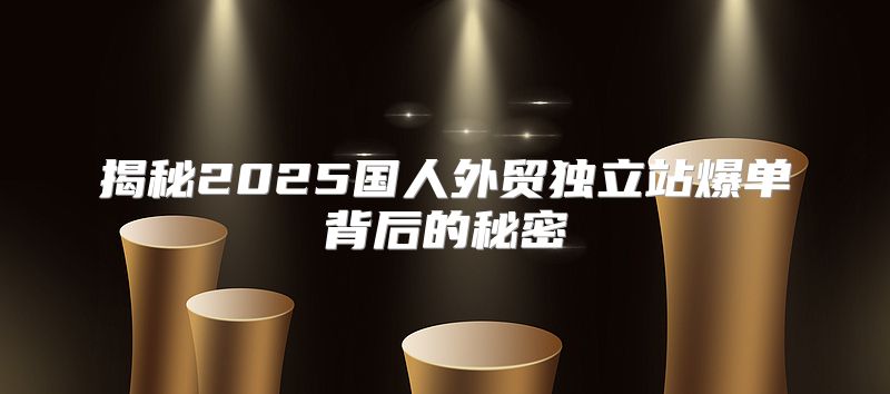 揭秘2025国人外贸独立站爆单背后的秘密