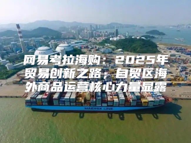 网易考拉海购：2025年贸易创新之路，自贸区海外商品运营核心力量显露