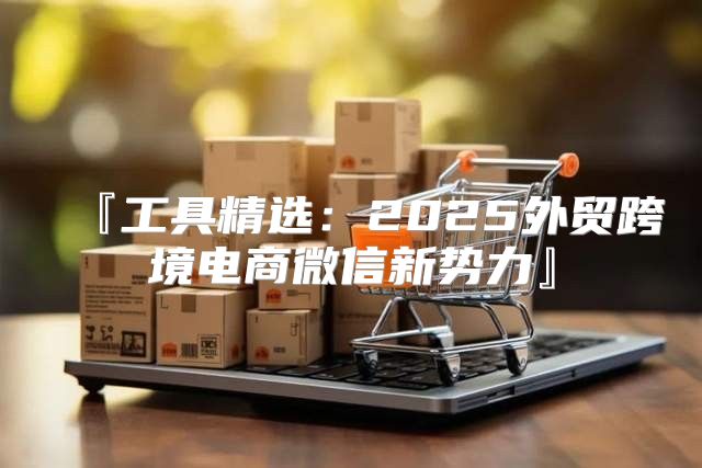 『工具精选：2025外贸跨境电商微信新势力』
