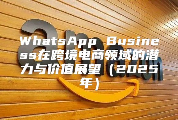 WhatsApp Business在跨境电商领域的潜力与价值展望2025年