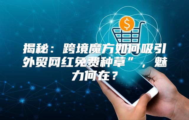 揭秘：跨境魔方如何吸引外贸网红免费种草”，魅力何在？