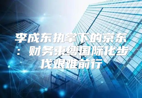 李成东执掌下的京东：财务束缚国际化步伐艰难前行