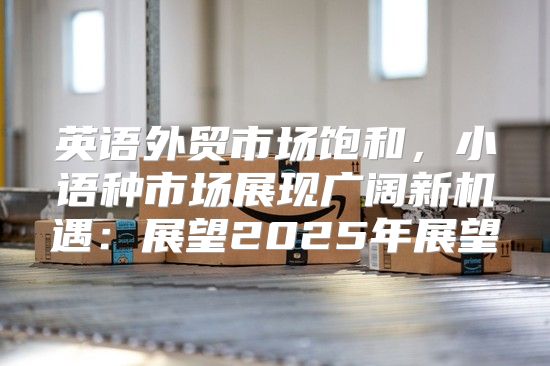 英语外贸市场饱和，小语种市场展现广阔新机遇：展望2025年展望