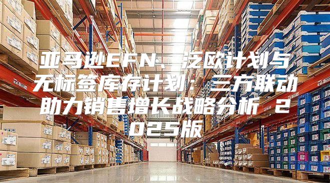 亚马逊EFN、泛欧计划与无标签库存计划：三方联动助力销售增长战略分析 2025版