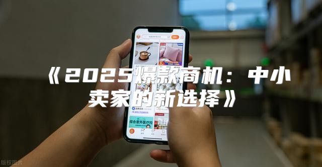 2025爆款商机：中小卖家的新选择