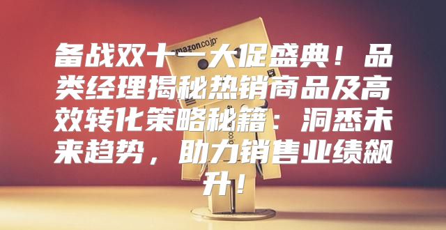 备战双十一大促盛典！品类经理揭秘热销商品及高效转化策略秘籍：洞悉未来趋势，助力销售业绩飙升！