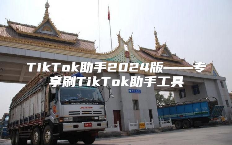 TikTok助手2025版——专享刷TikTok助手工具